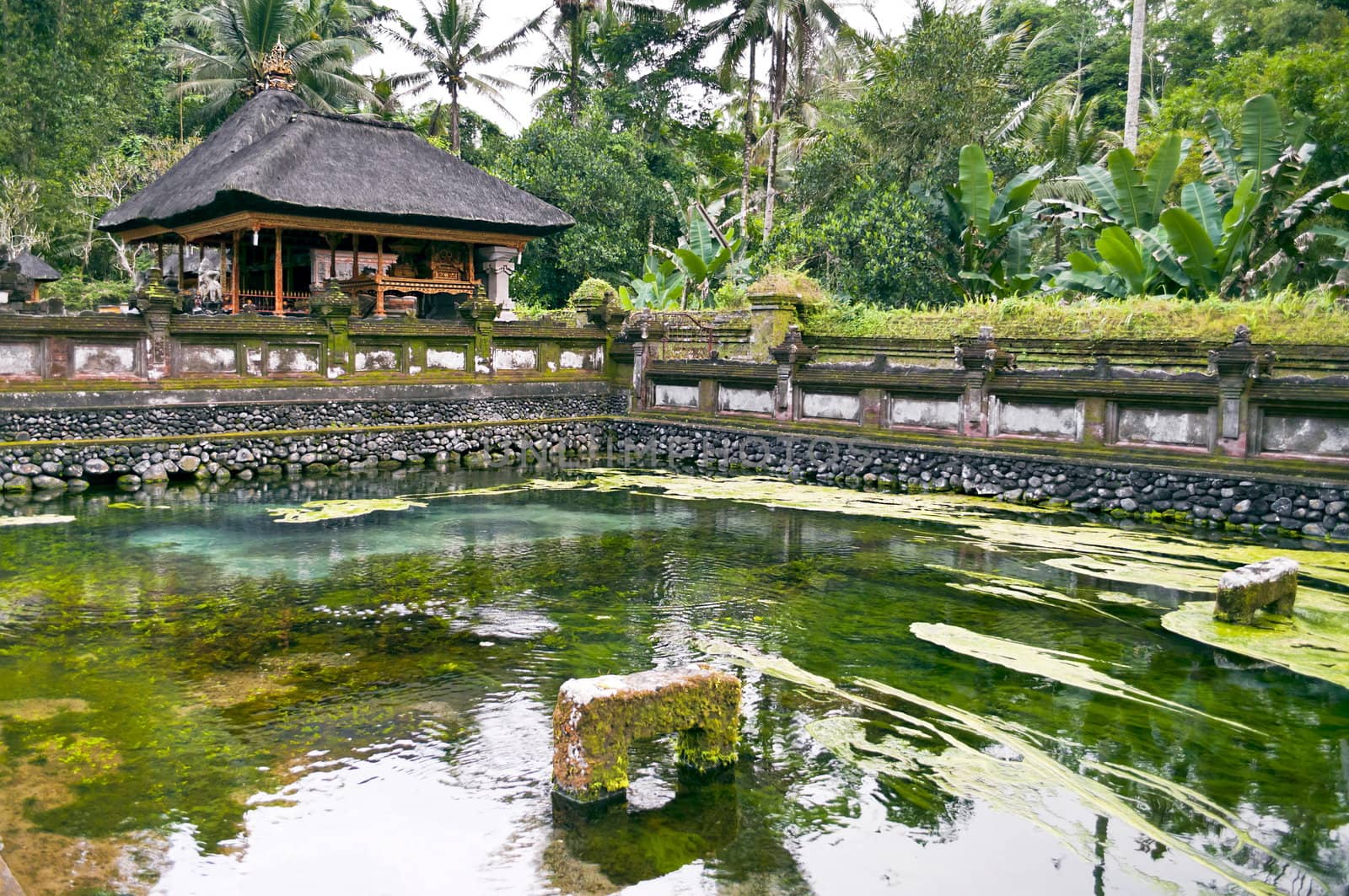 Ubud temple by rigamondis