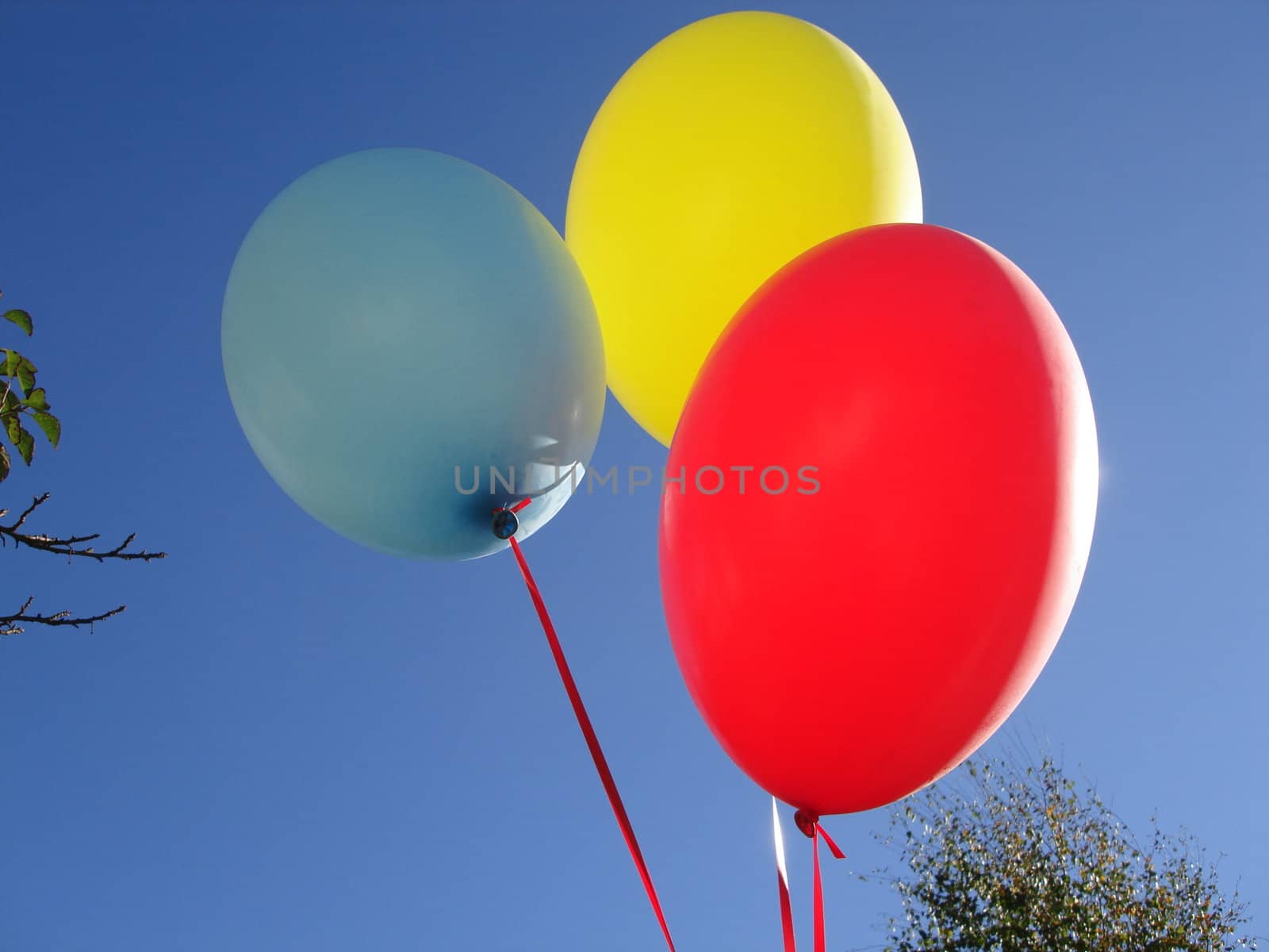colourful balloons