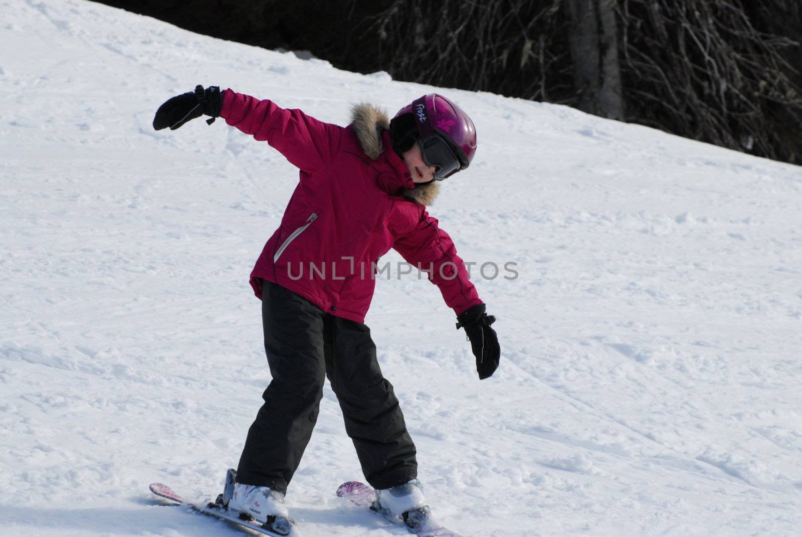 skiing view