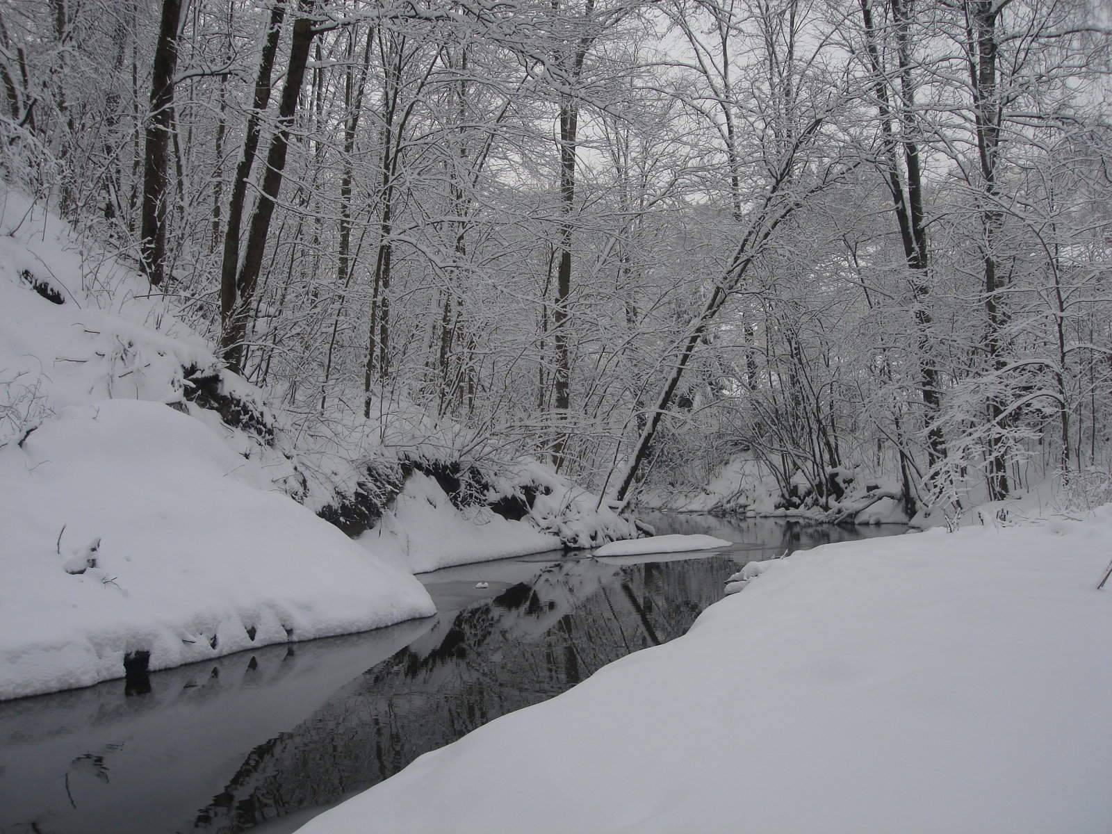 skiing view