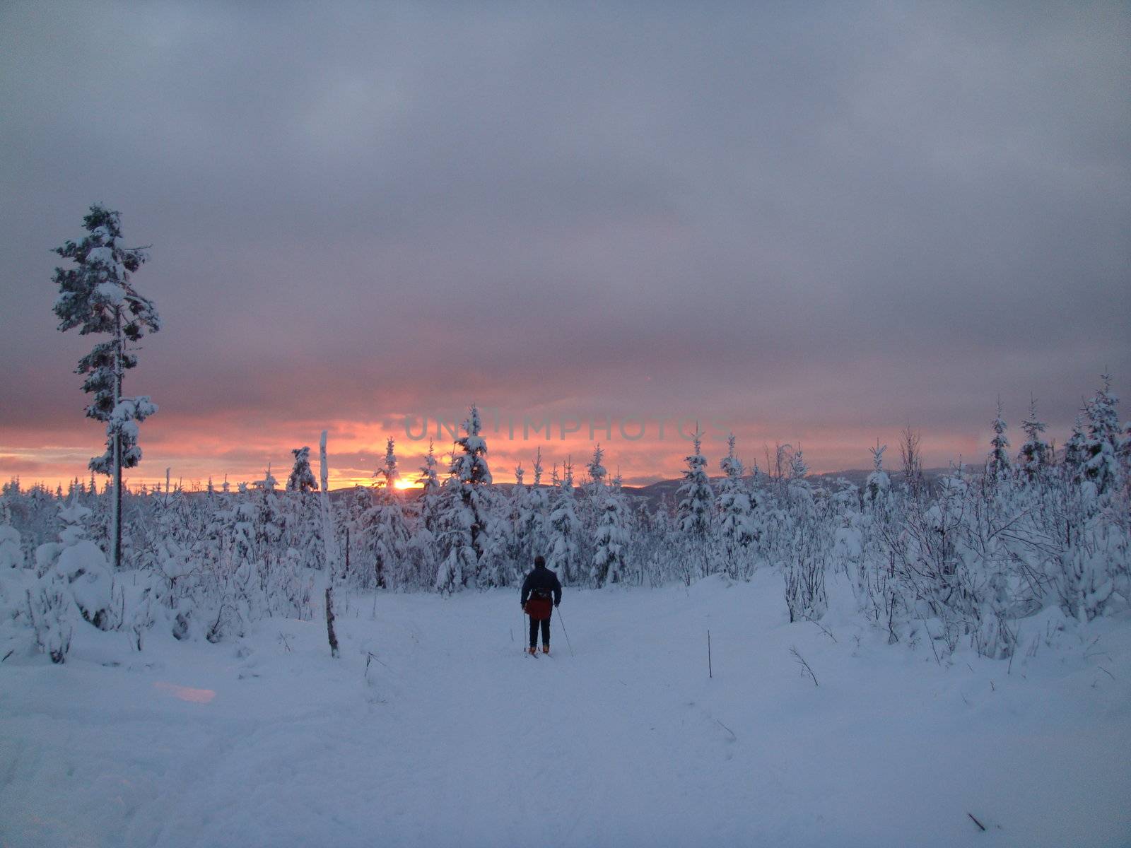 skiing view