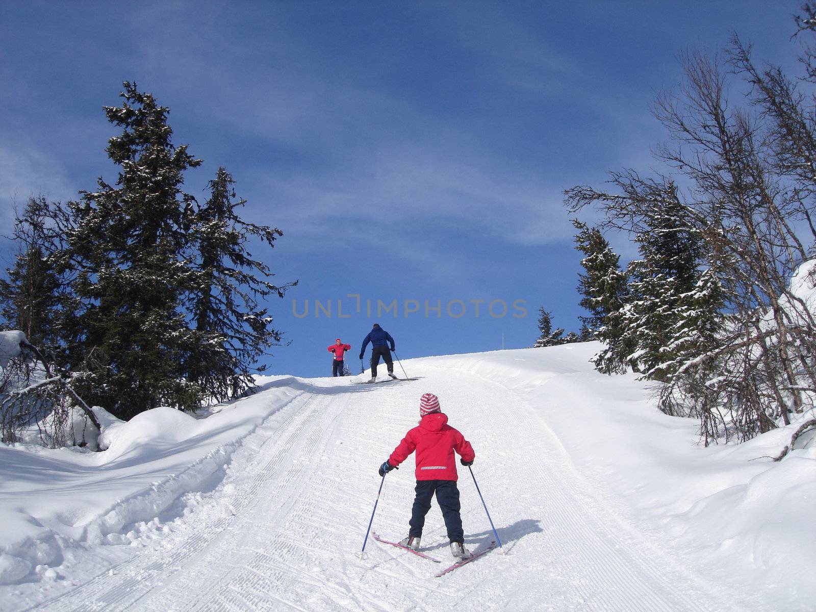 skiing view