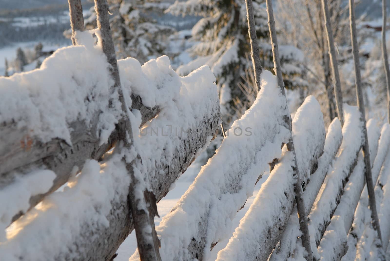 winter view