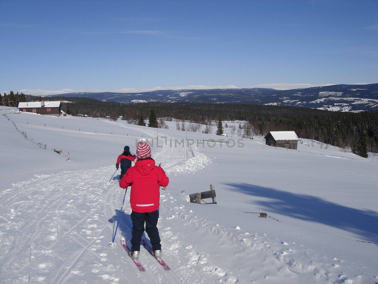 skiing view