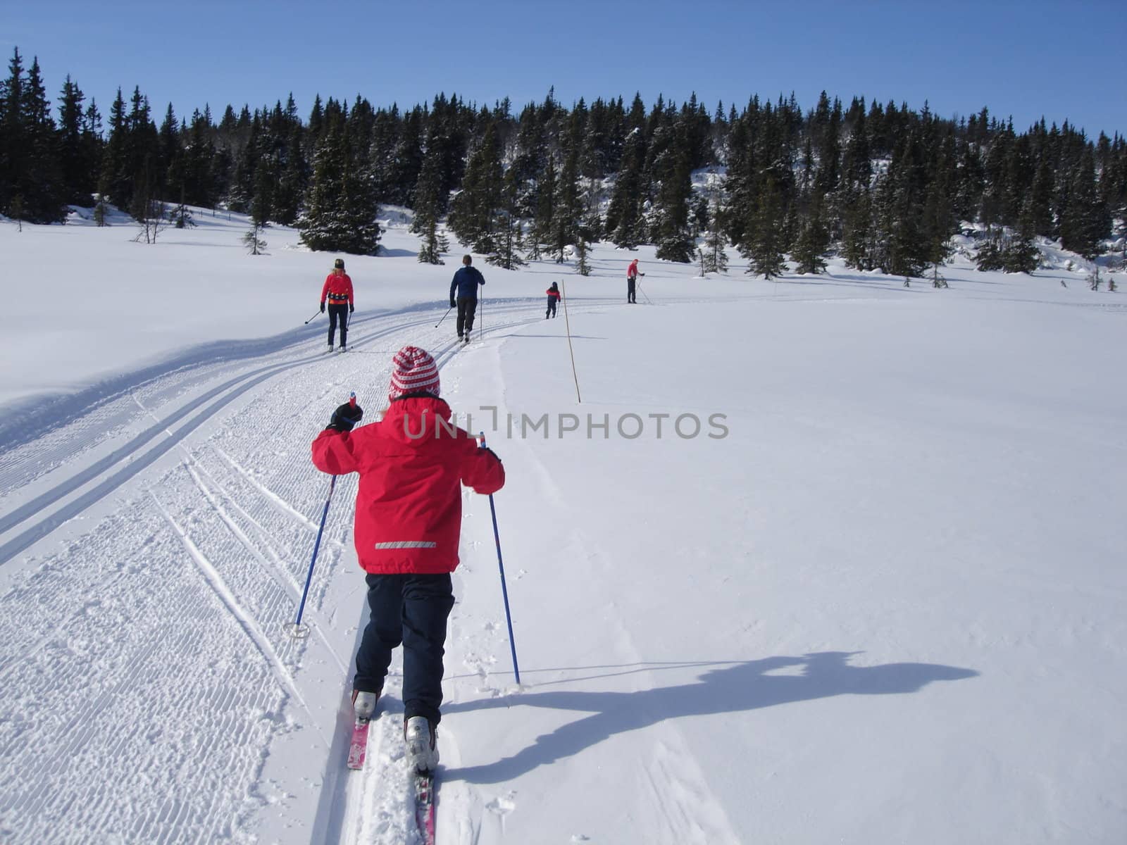 skiing view