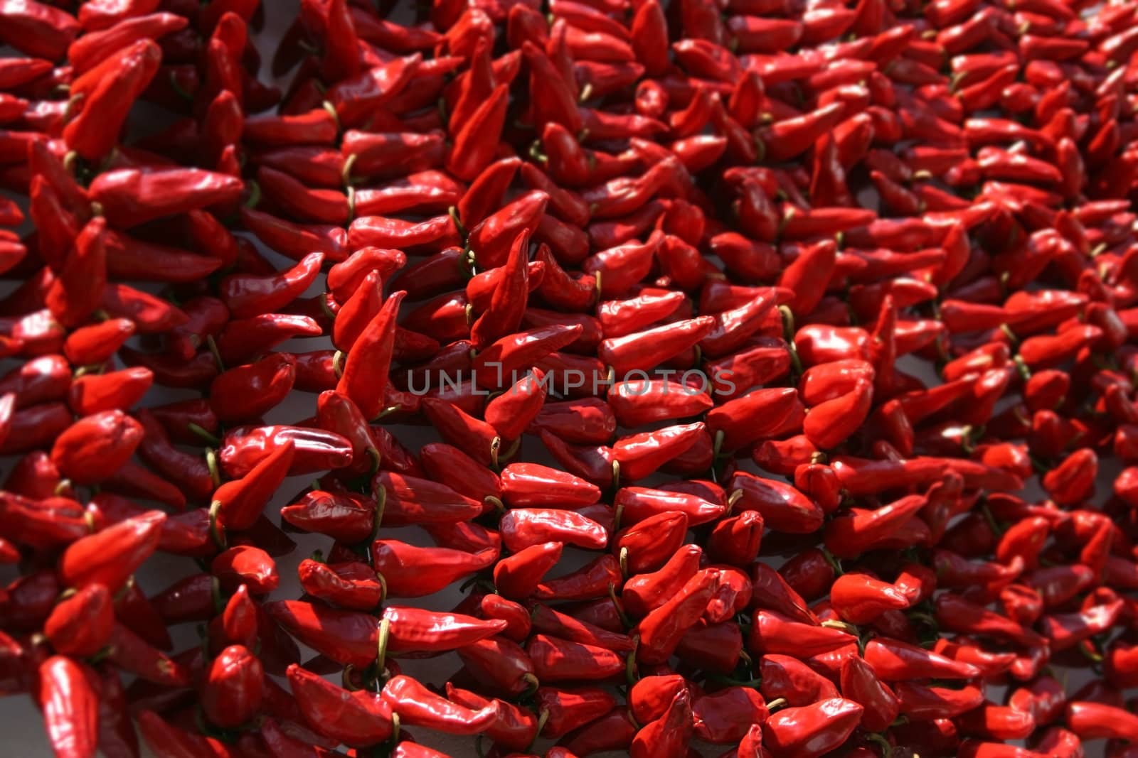 red peppers bunch drying on a wall