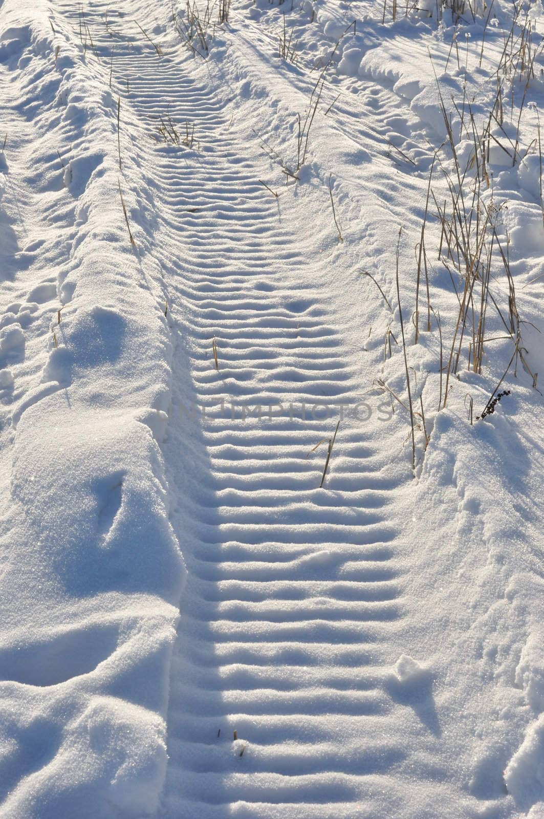 Snow machine track through farm field during winter in Alaska 