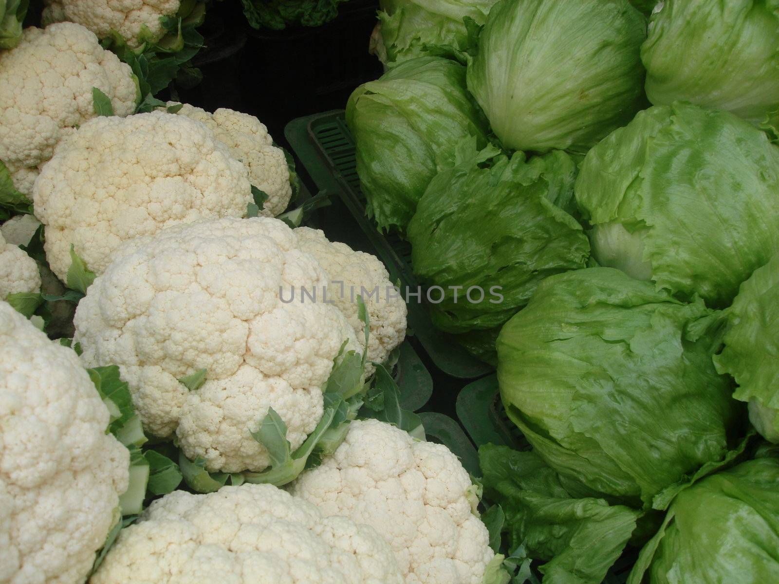 Scandinavian Lifestyle-cabbages and cauliflowers by Bildehagen