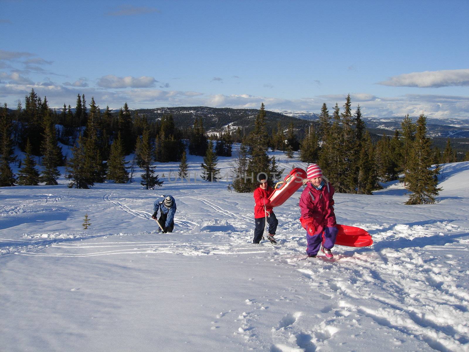 children playing in snow