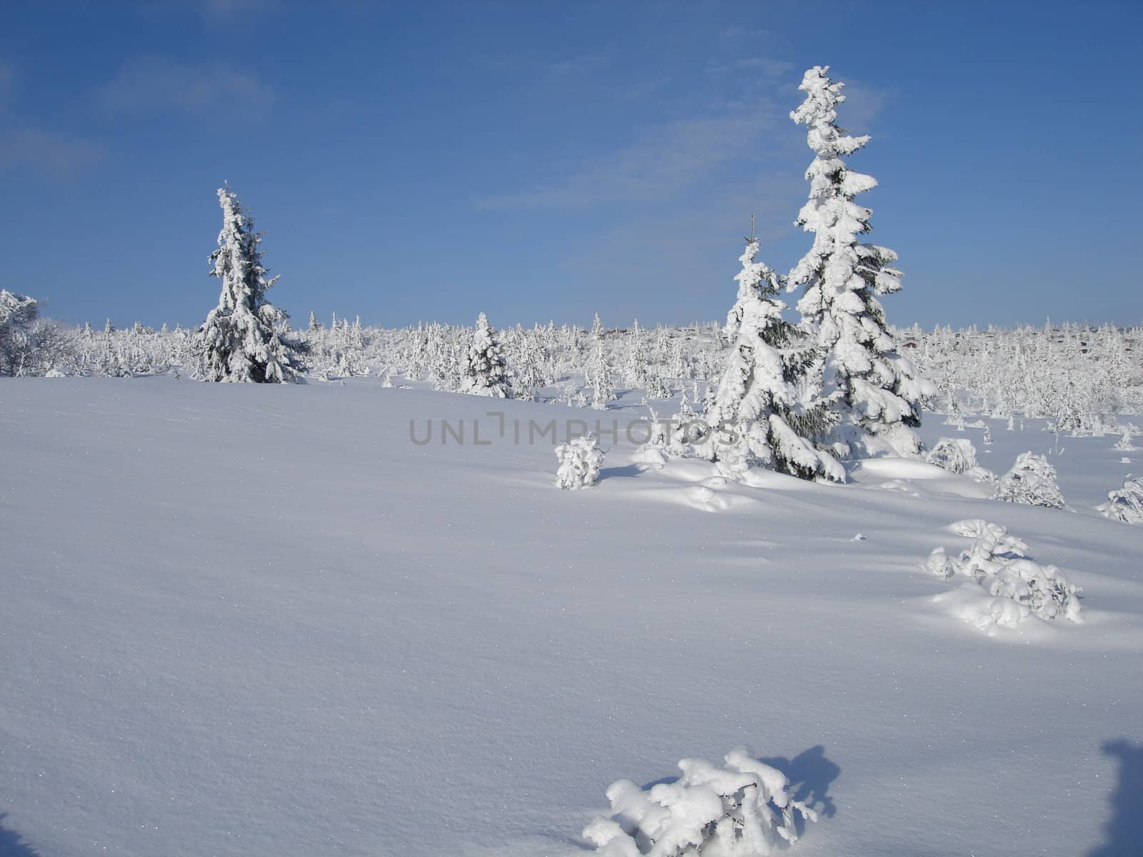 Scandinavian Lifestyle-winter view by Bildehagen