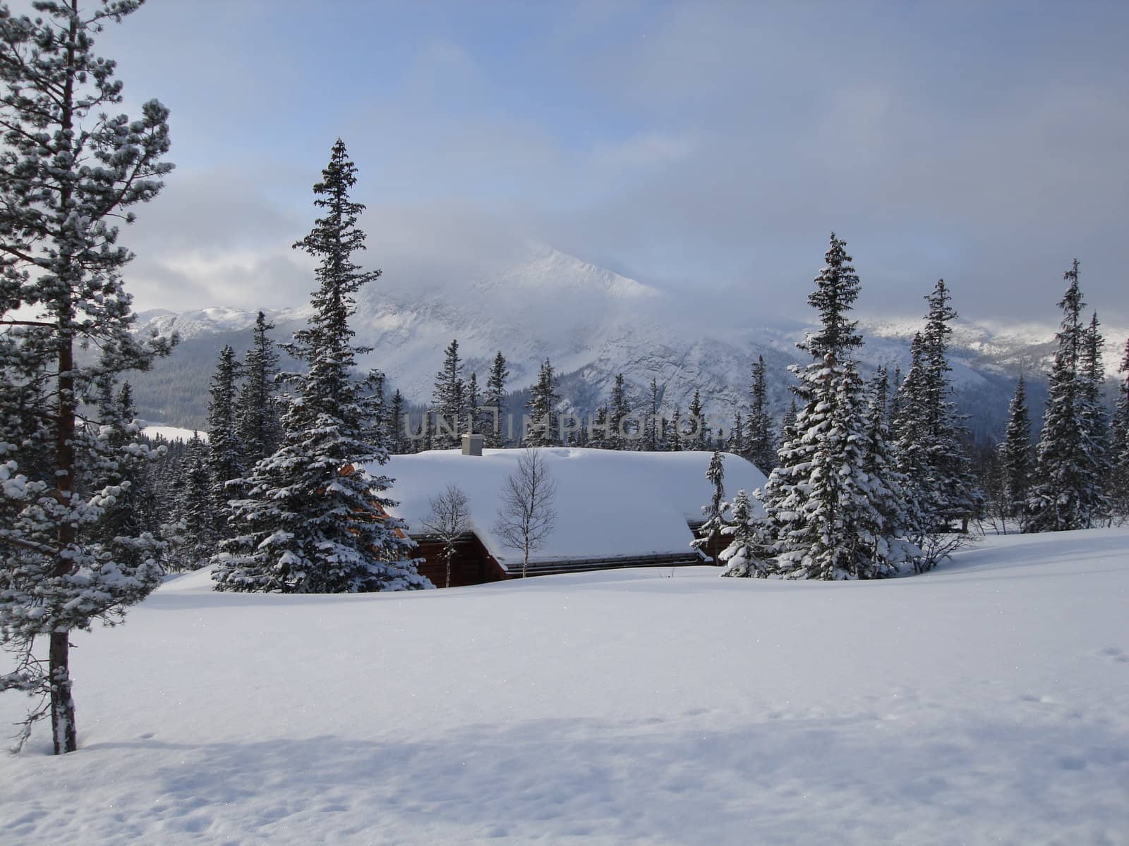 Scandinavian Lifestyle-winter view by Bildehagen