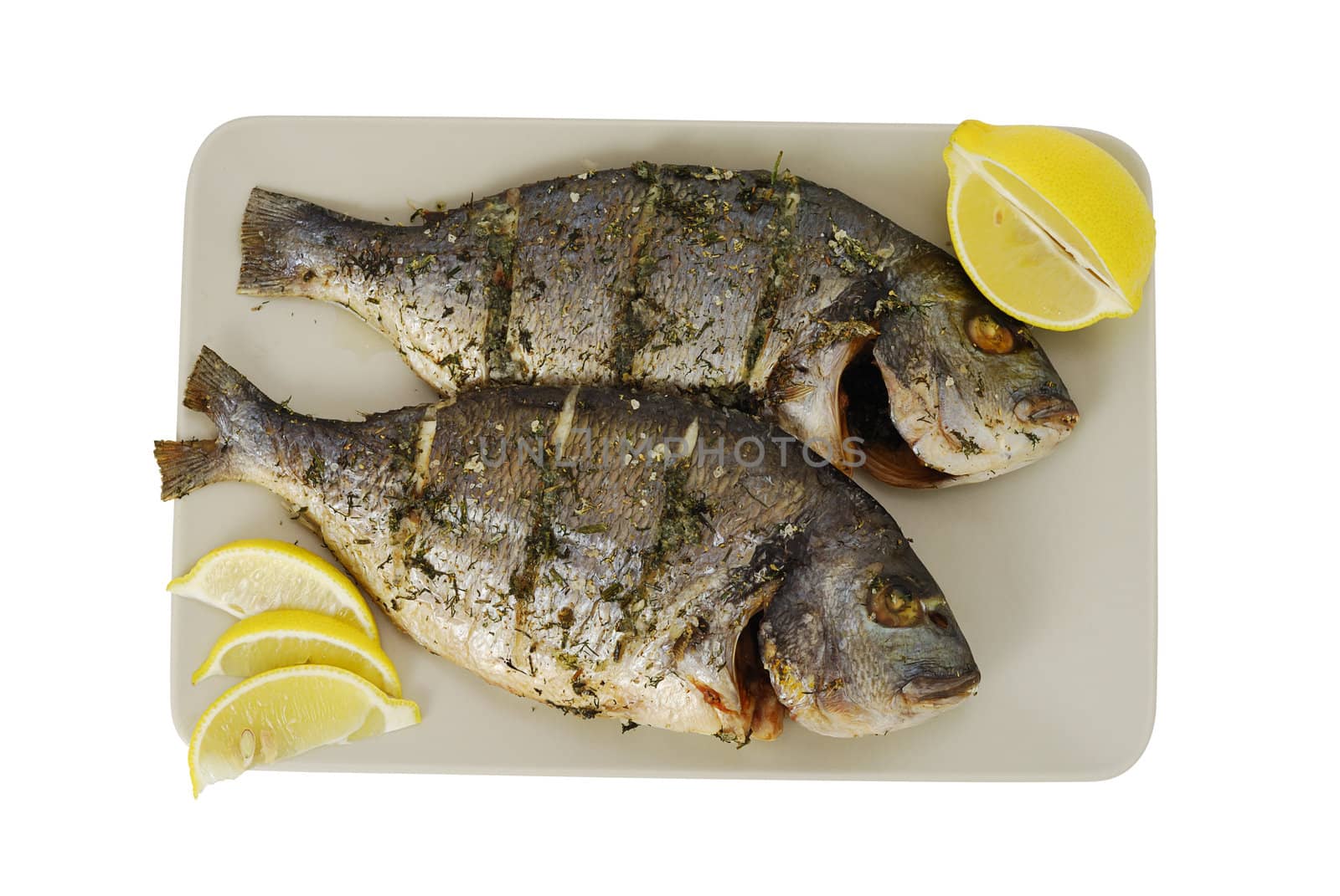 Two roasted denis( sea bream) fishes with lemon  on square ceramic plate isolated on white  