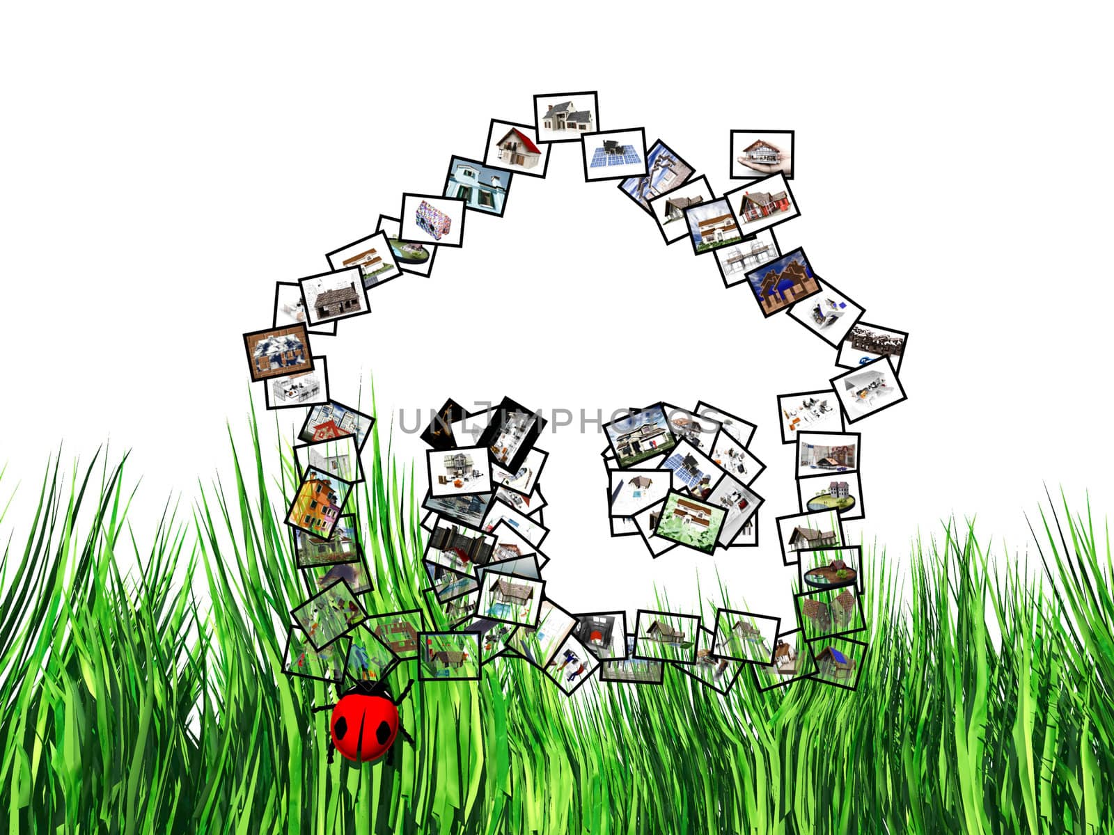 house  pictures in the meadow by njaj