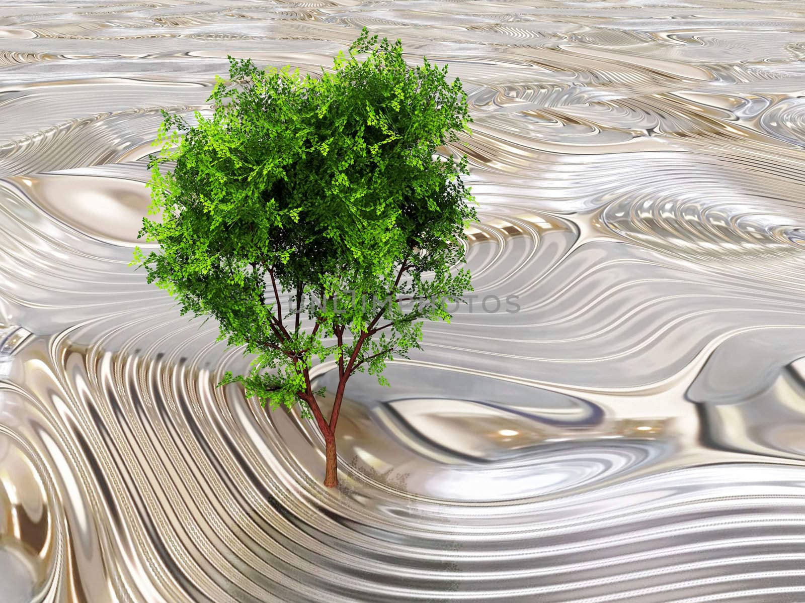 small tree on a metal texture