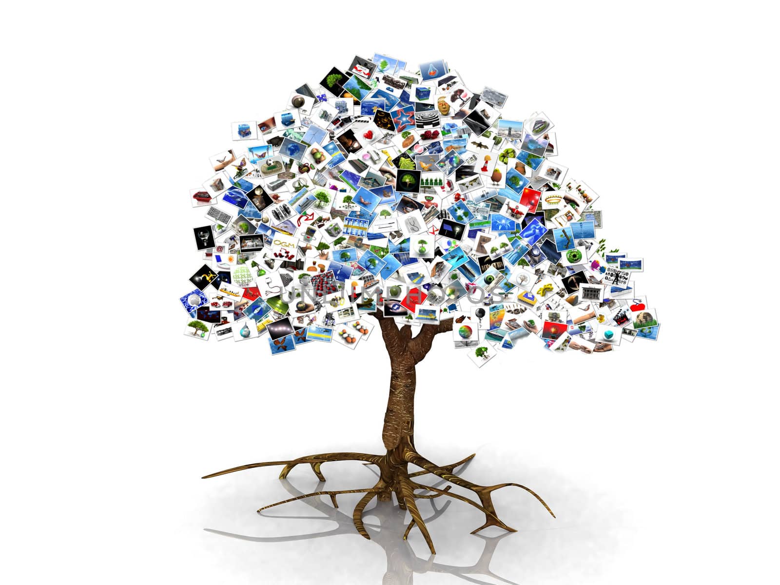a tree in pictures on a white background