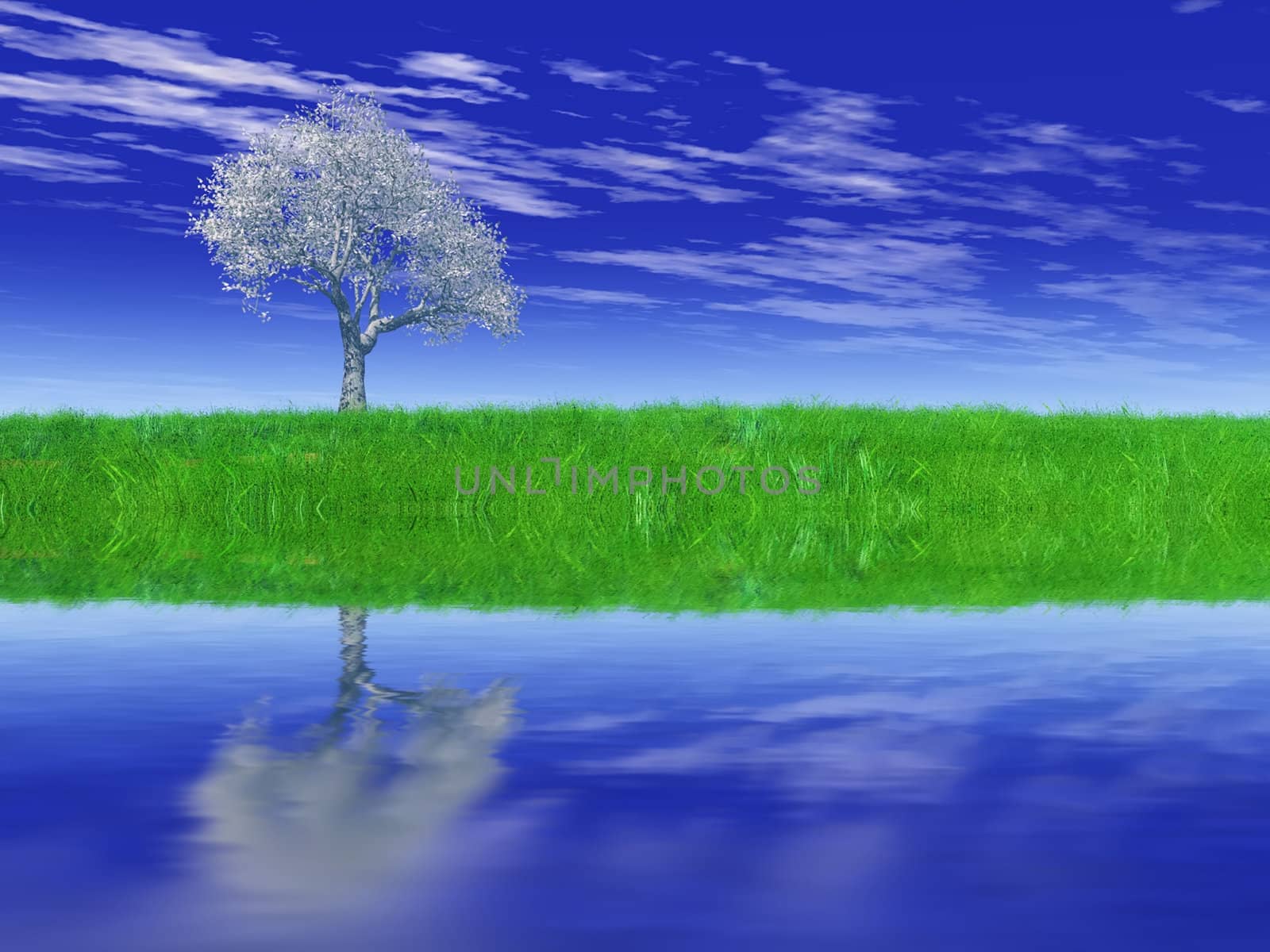 the tree, the meadow and water