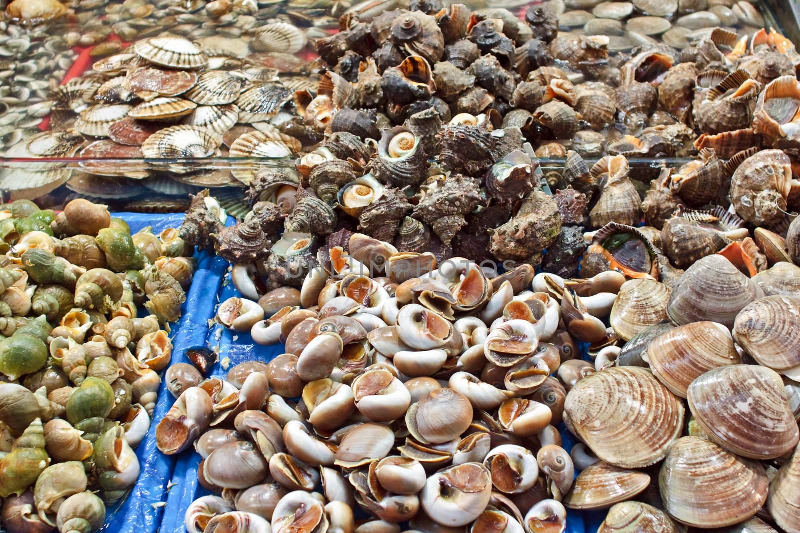 Assorted shells at seafood market by dsmsoft
