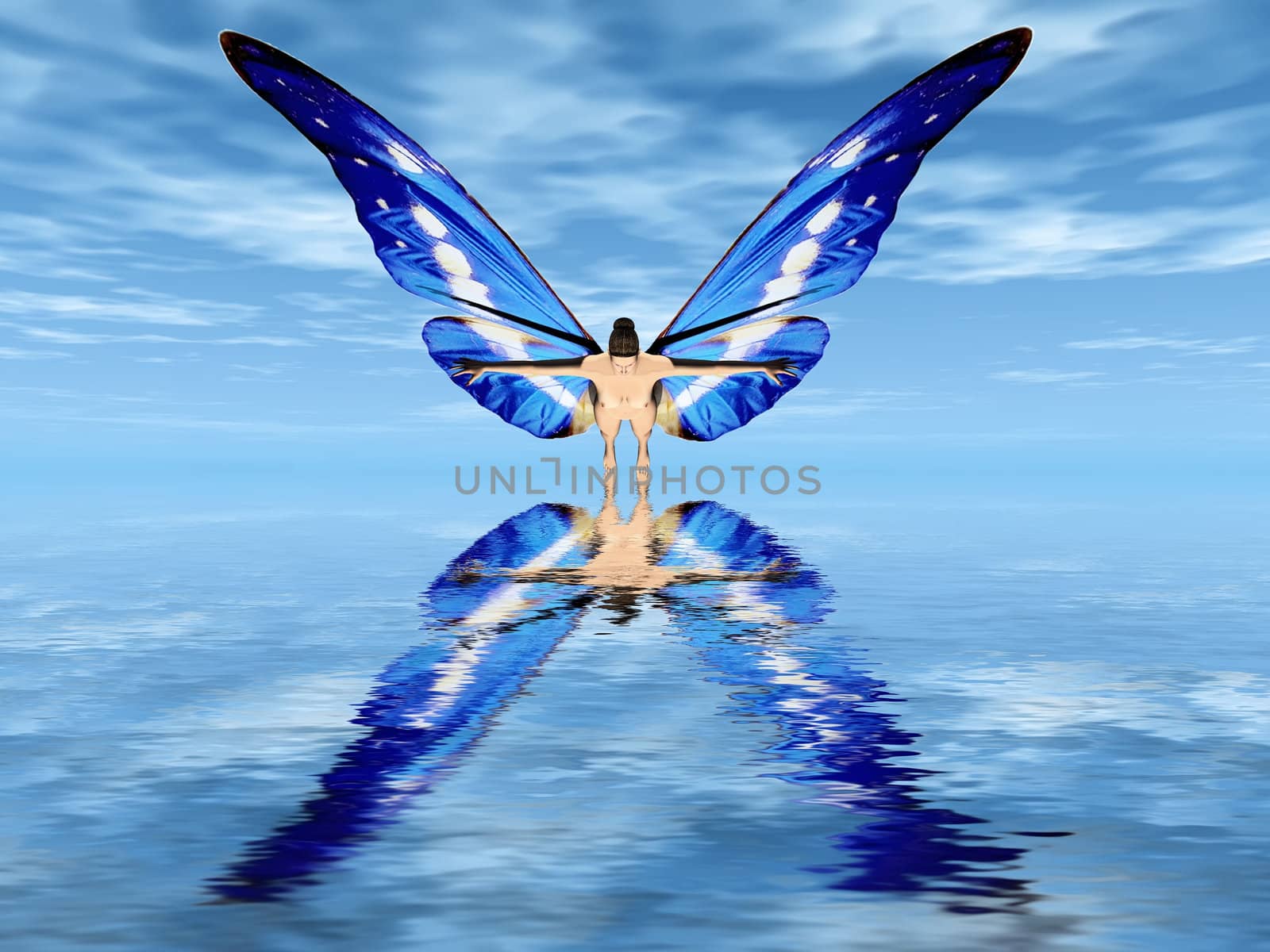 the fairy with butterfly wings