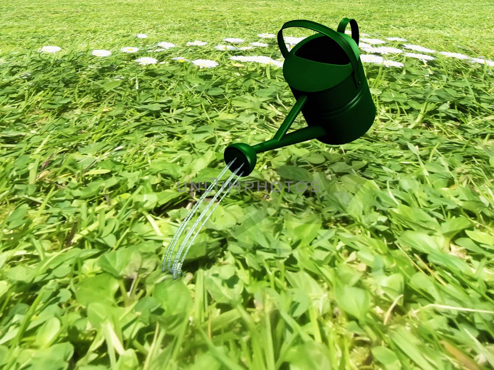 the watering can and the grass