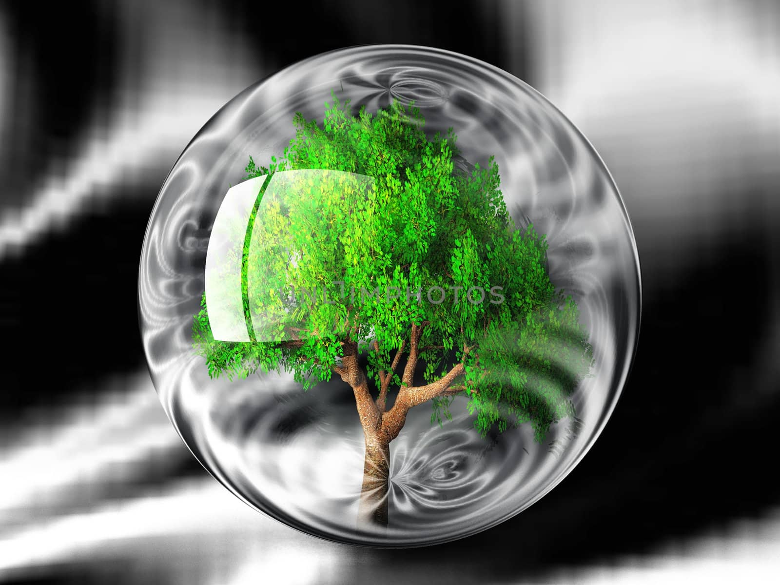 the green tree in a bubble