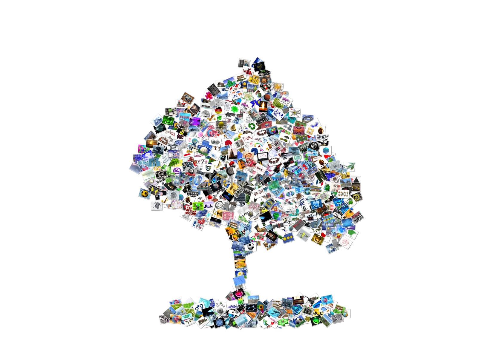 the tree formed from of multiple images