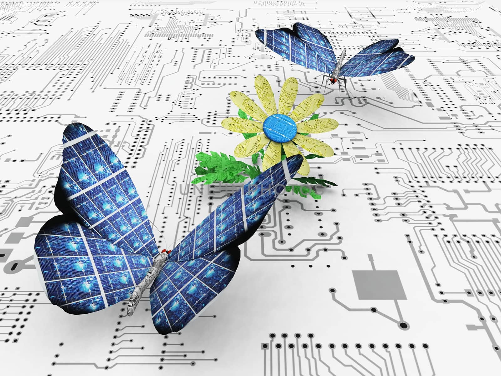 the beautiful butterfly and the circuit