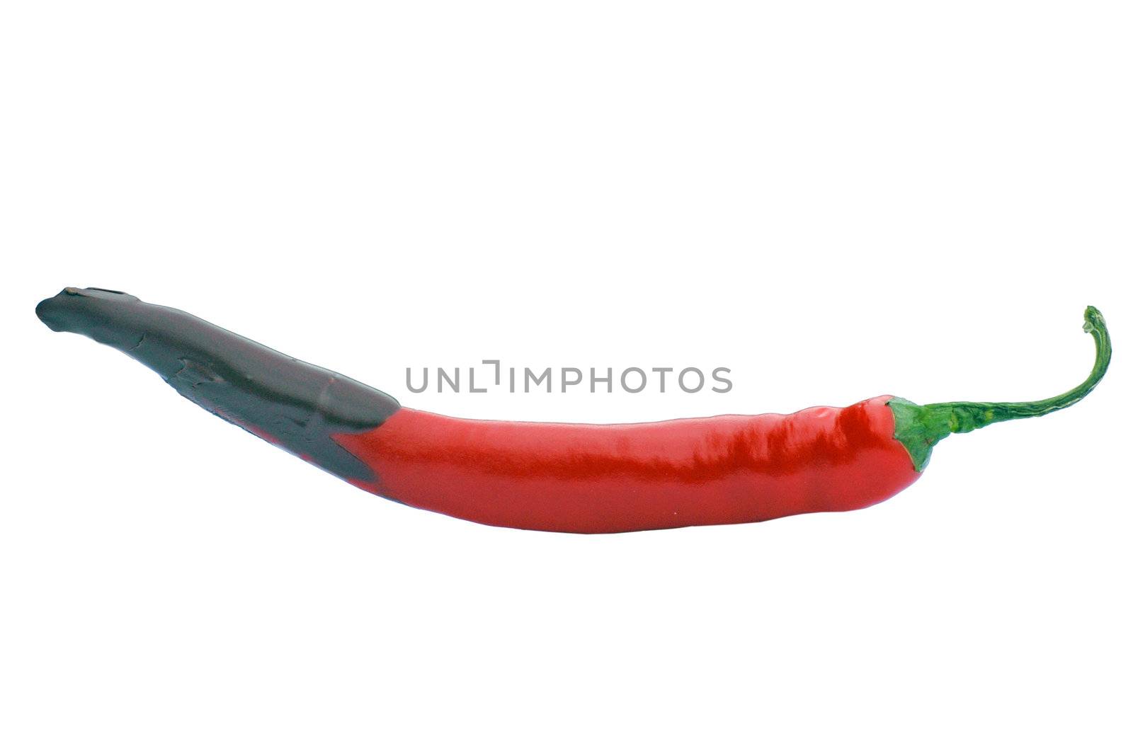 Hot Pepper With Cholcolate Isolated On White