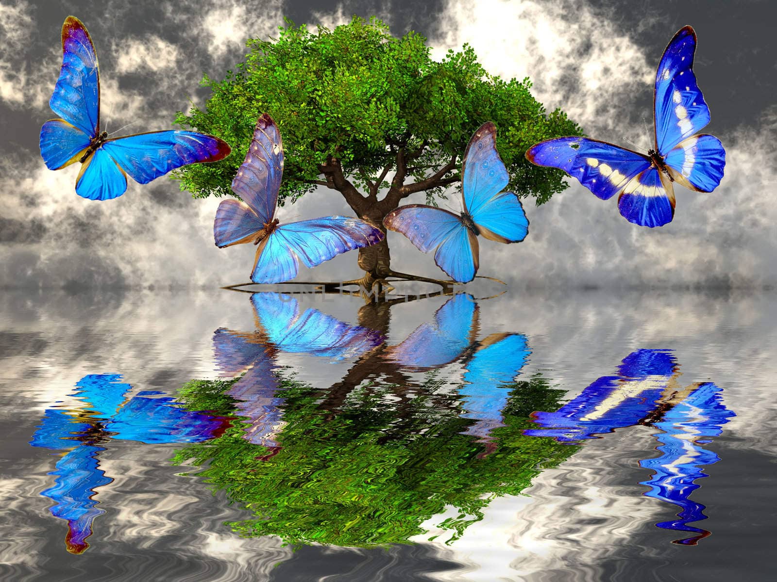 the beautiful butterfly and the tree