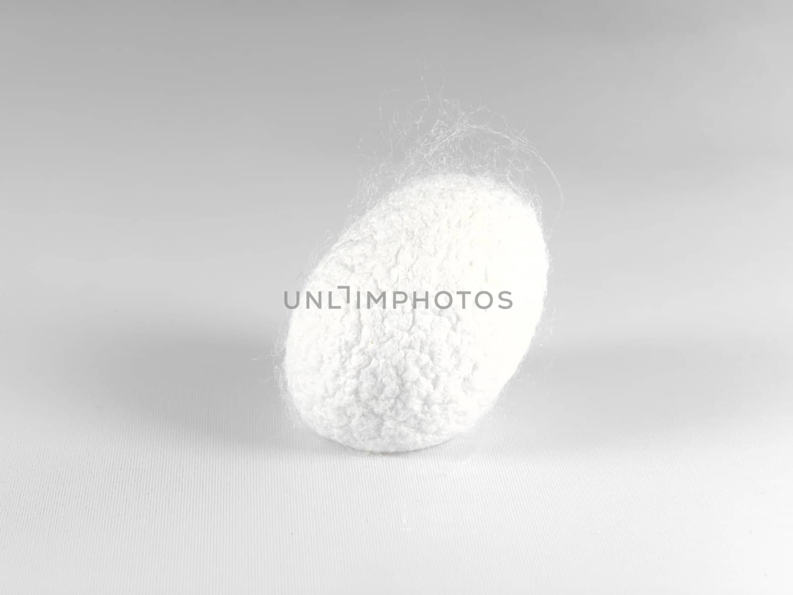 a cocoon of the silkworm