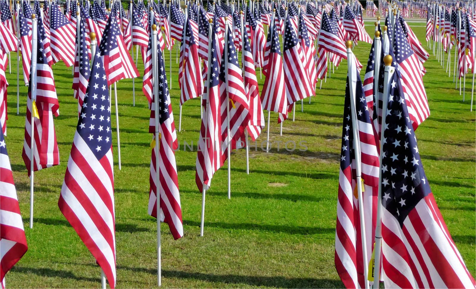 the ceremonies to the flags 