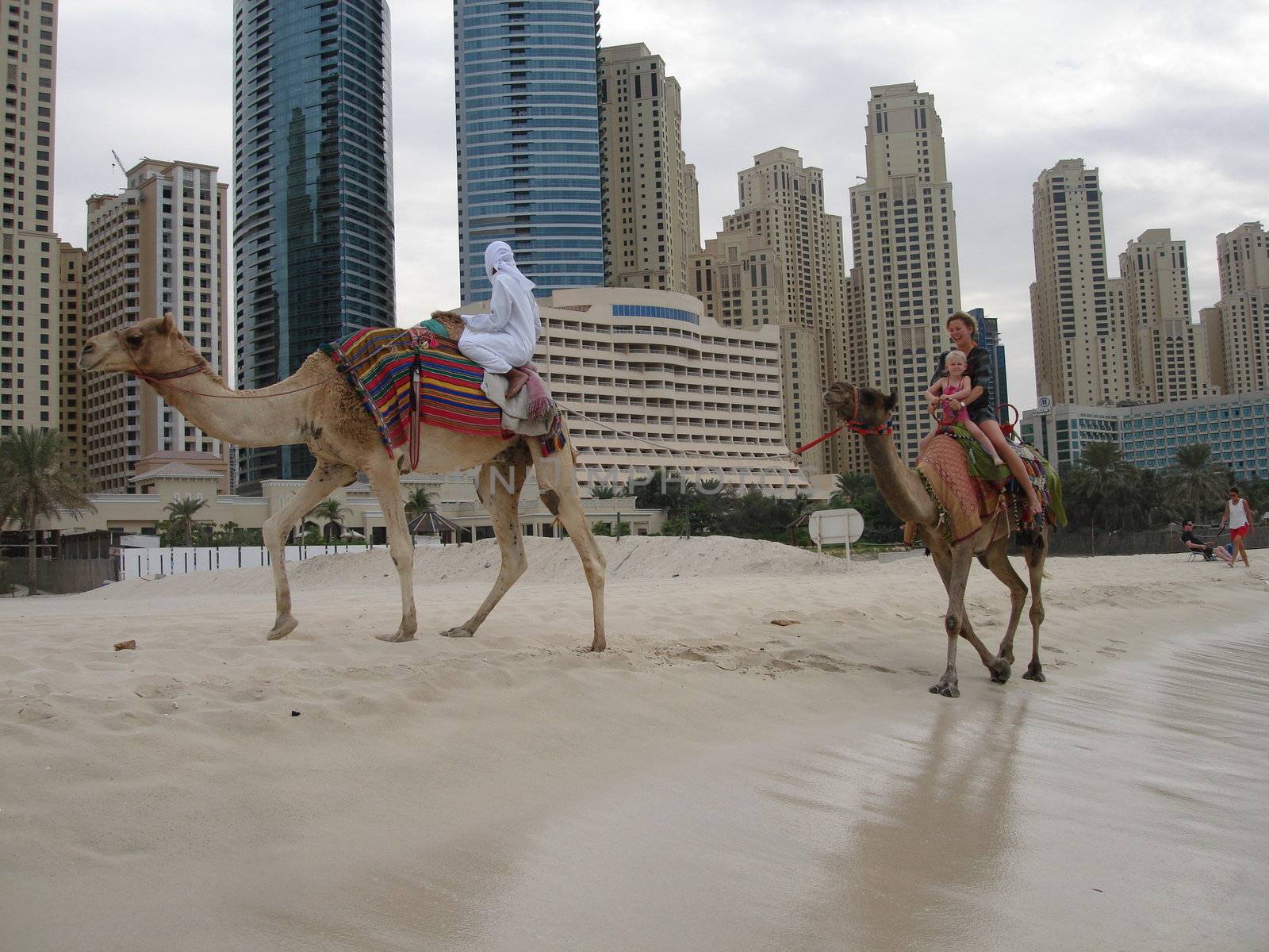 riding camels on the beach, Dubai