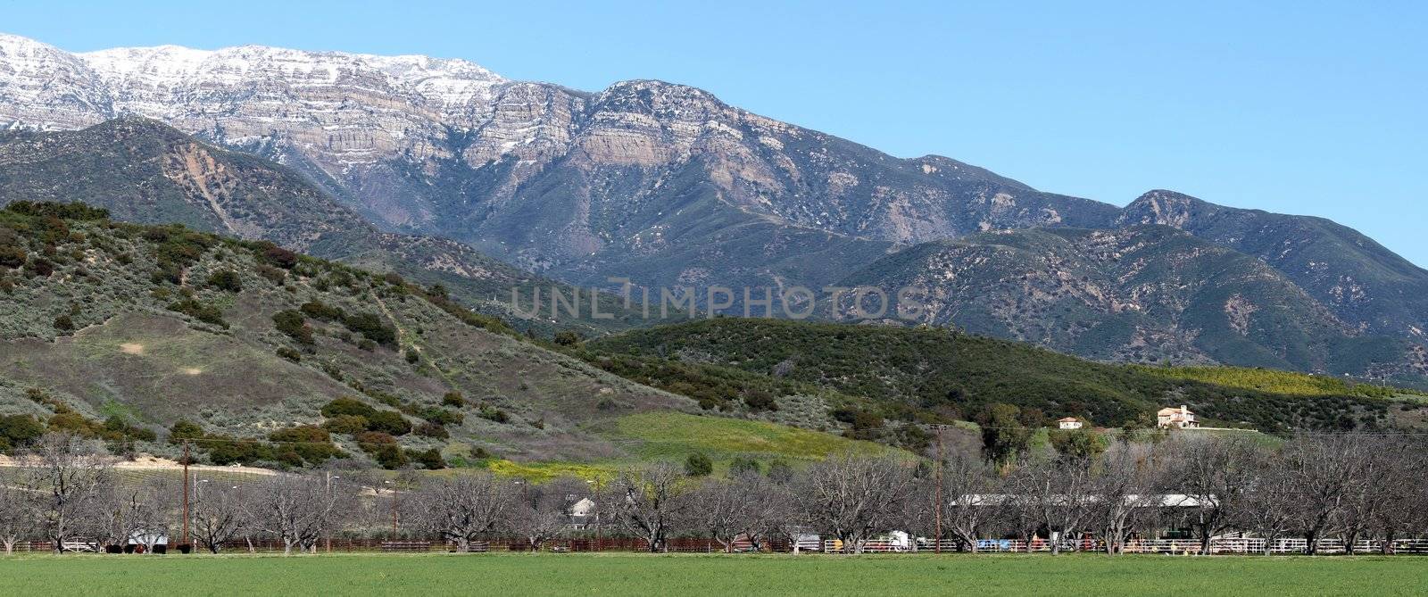 panorama of Topa Topa Mountains in Ojai with a farm in the foreground