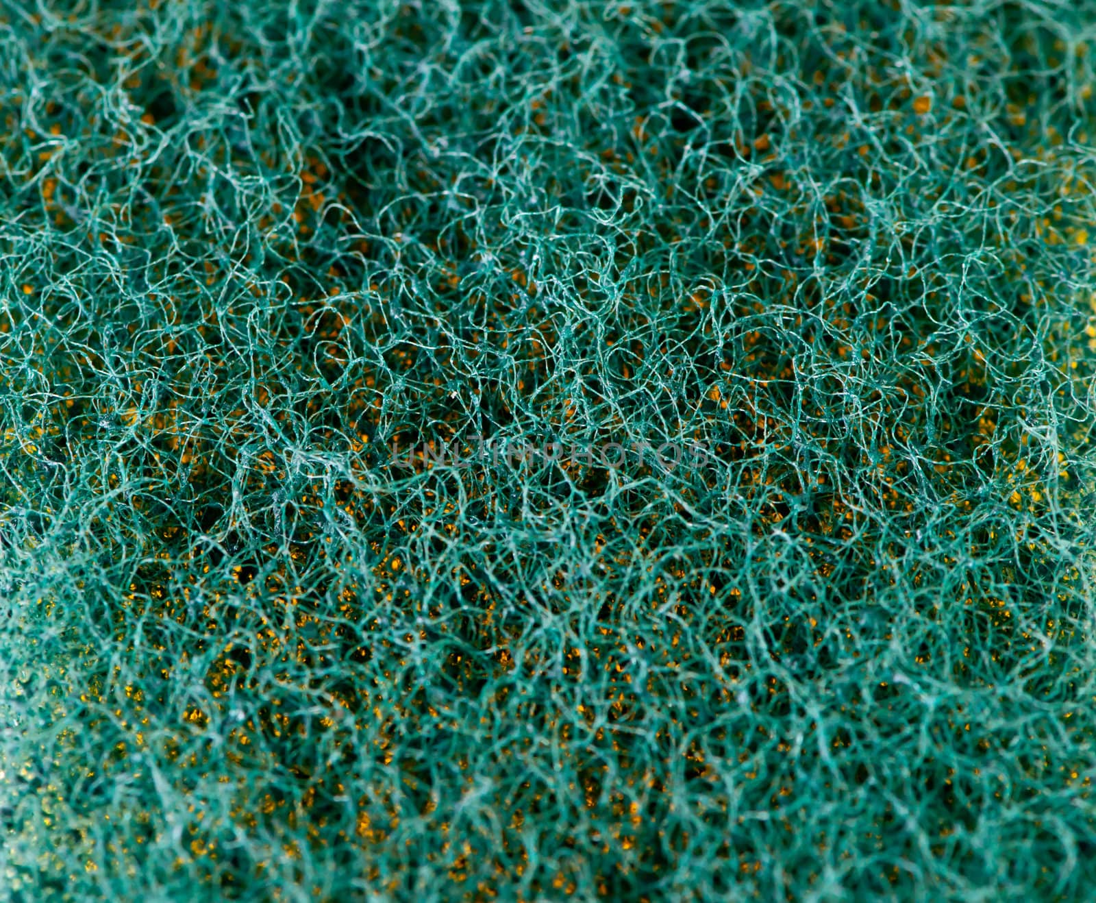 Close up view of pores of green sponge texture