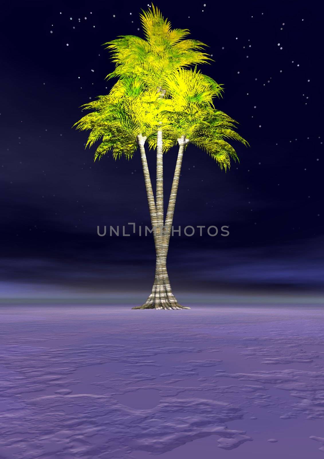 landscape and palmtree