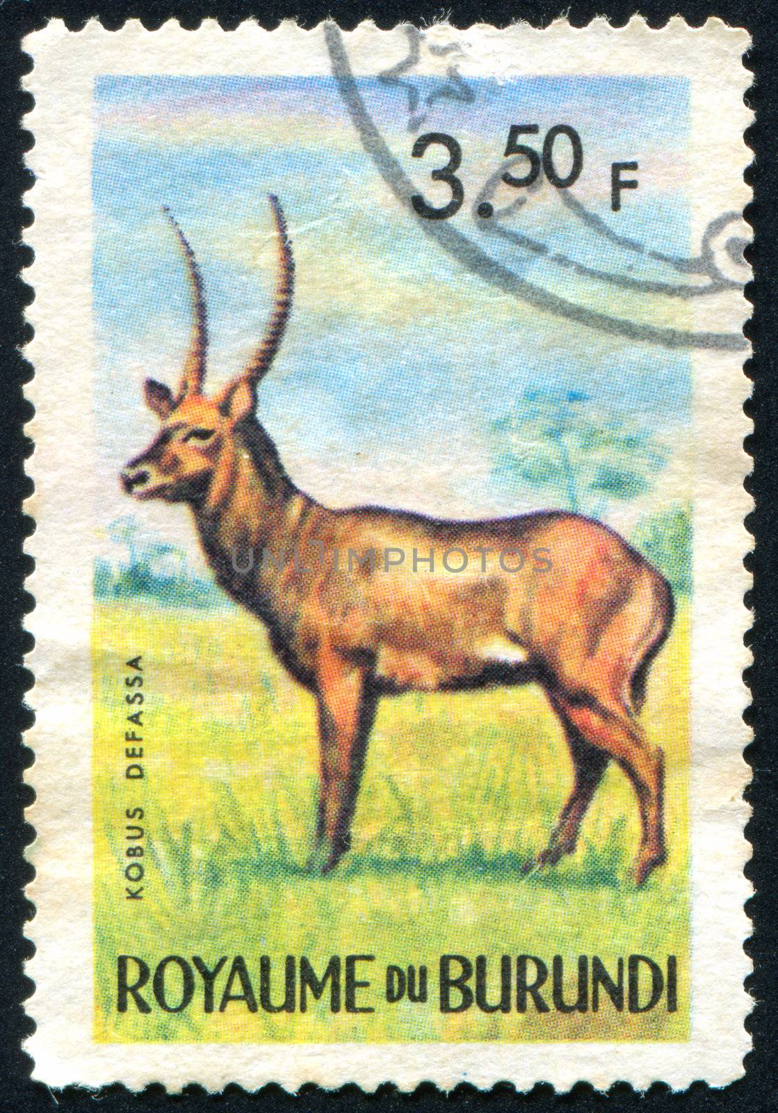 BURUNDI - CIRCA 1963: stamp printed by Burundi, shows antelope, circa 1963