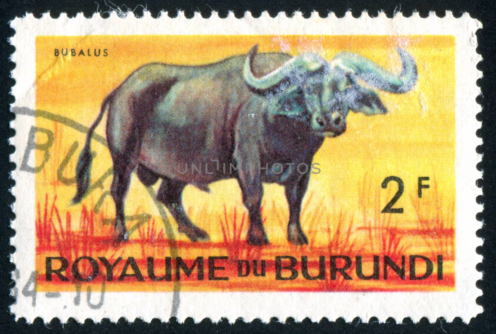 BURUNDI - CIRCA 1964: stamp printed by Burundi, shows buffalo, circa 1964