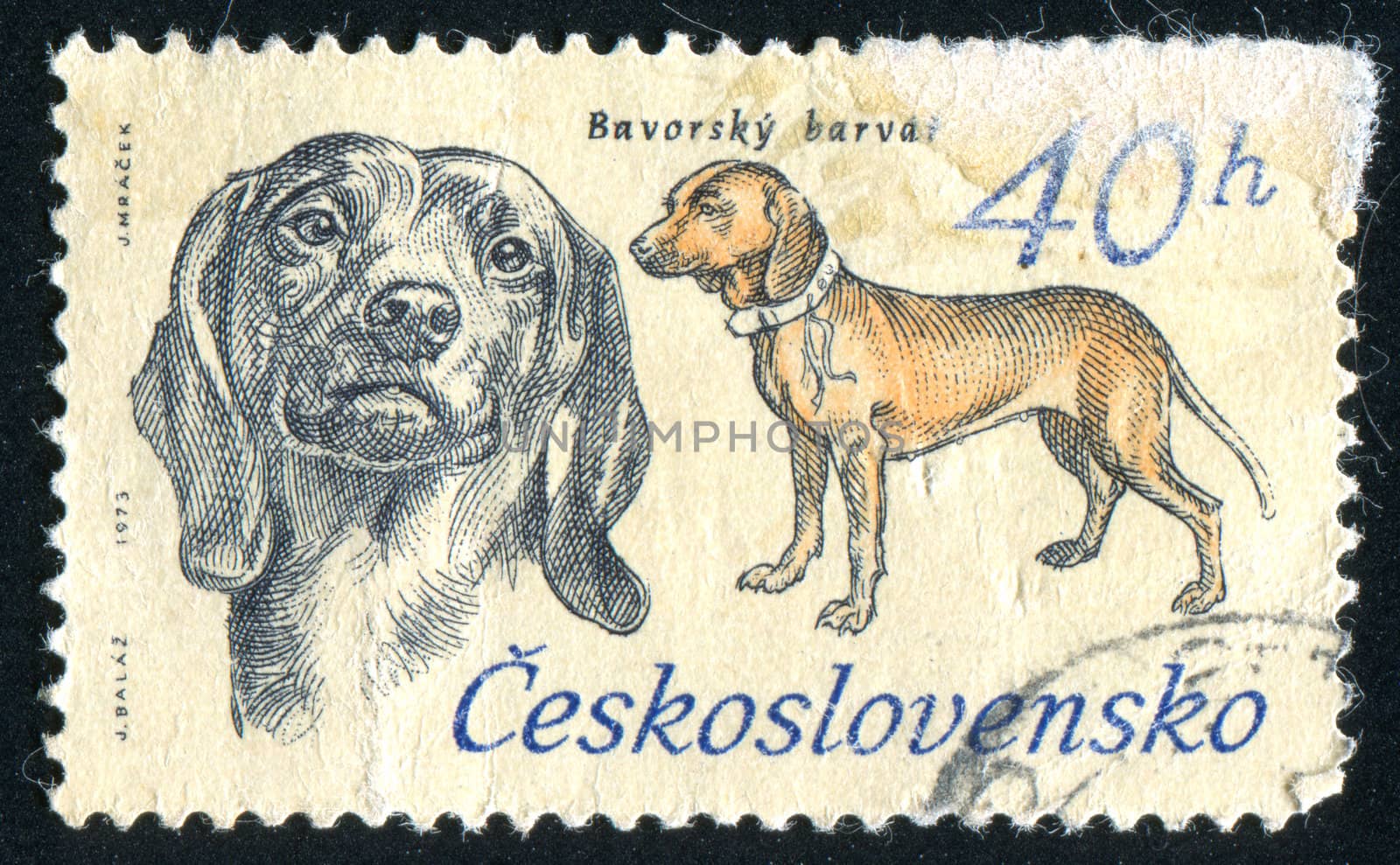 CZECHOSLOVAKIA - CIRCA 1973: stamp printed by Czechoslovakia, shows Hunting dog, circa 1973