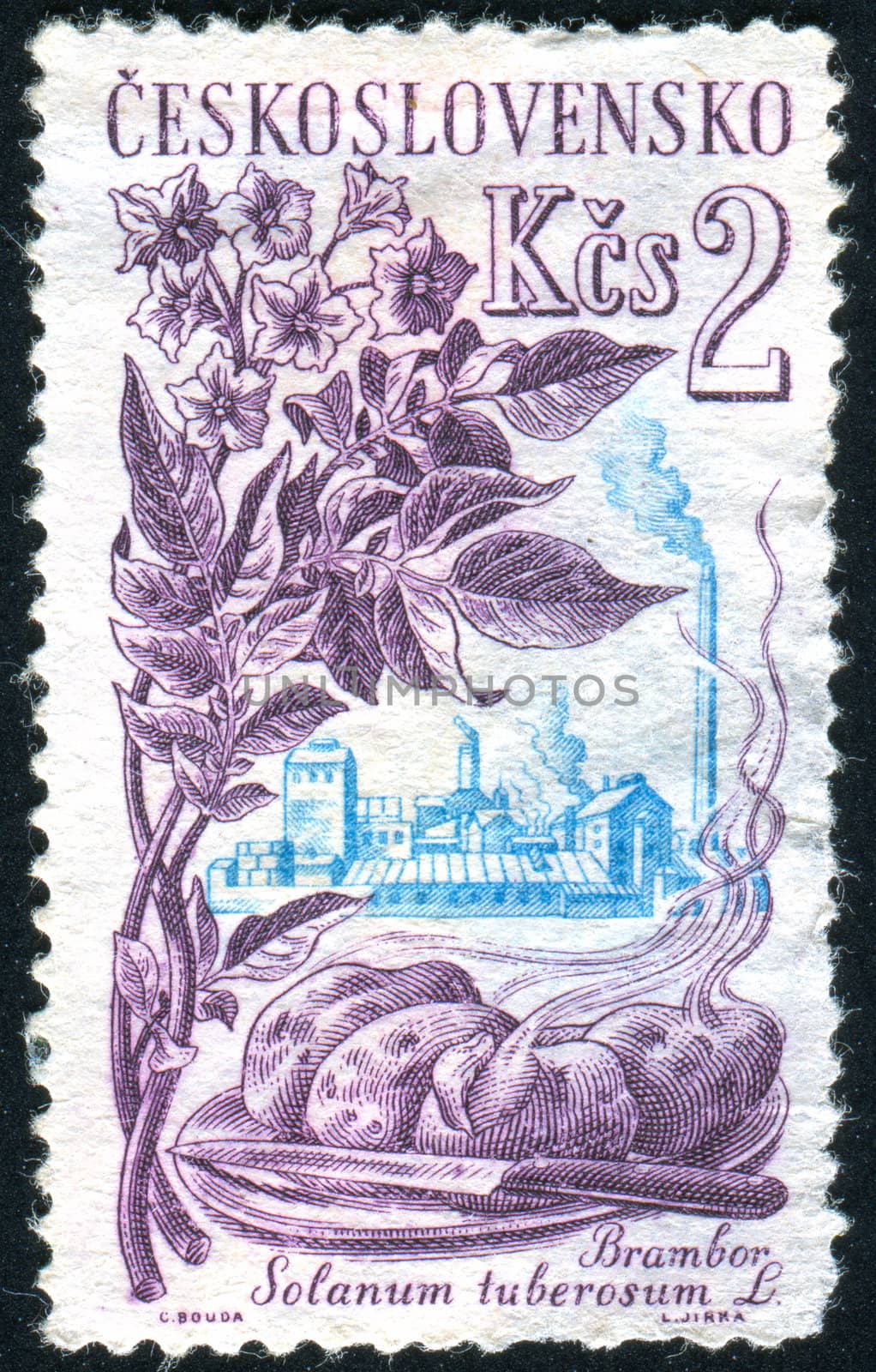 stamp by rook