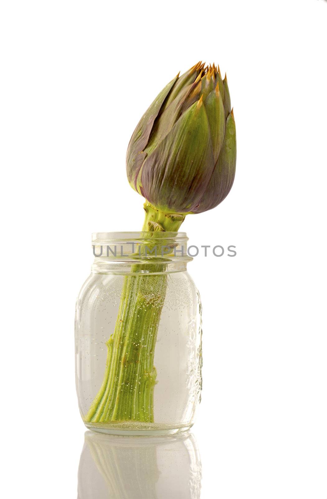 Close up of an artichoke in a glass can over white