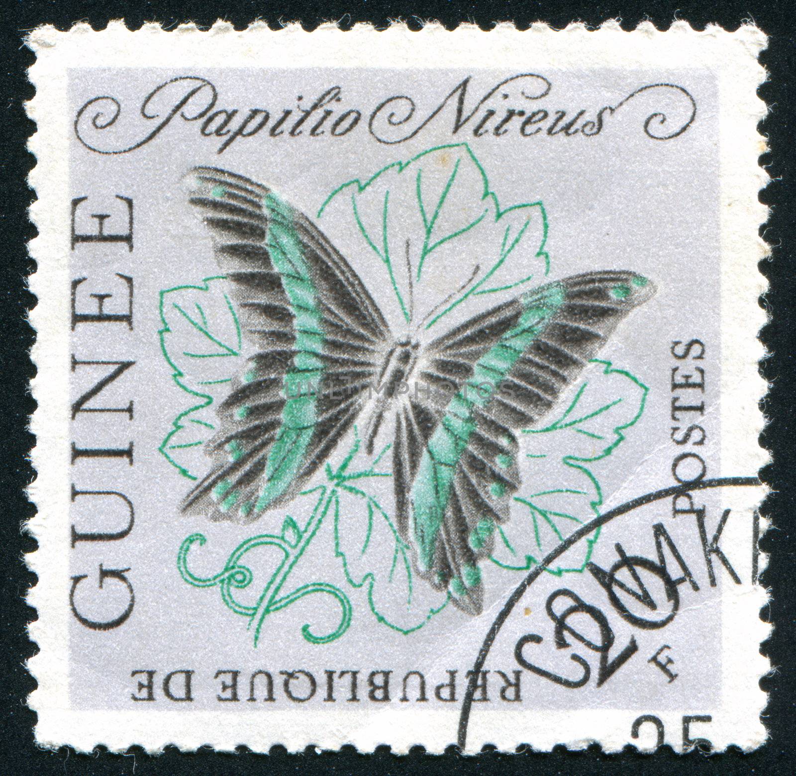 GUINEA - CIRCA 1972:   stamp printed by Guinea,  shows butterfly, circa 1972.