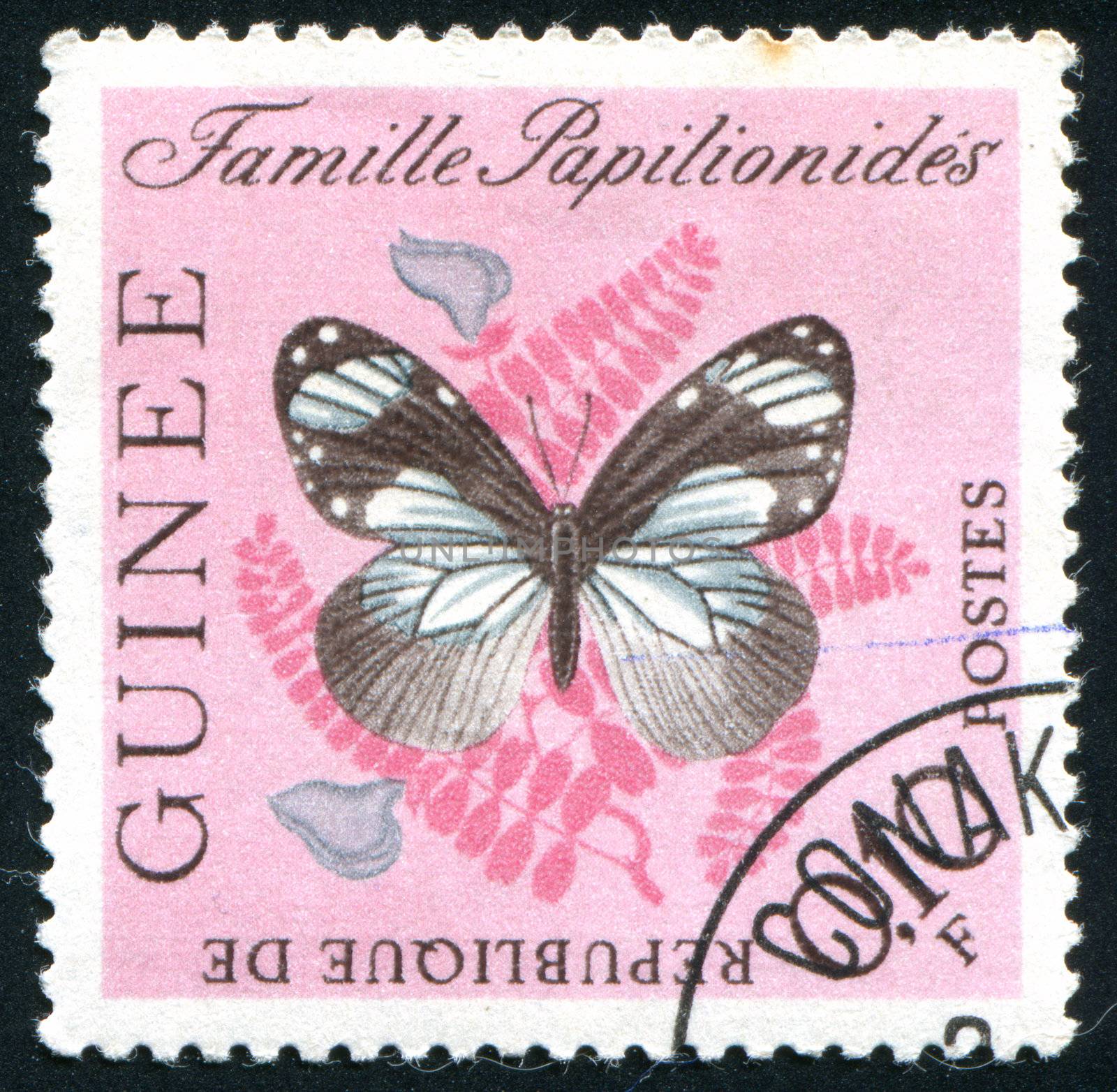GUINEA - CIRCA 1972:   stamp printed by Guinea,  shows butterfly, circa 1972.