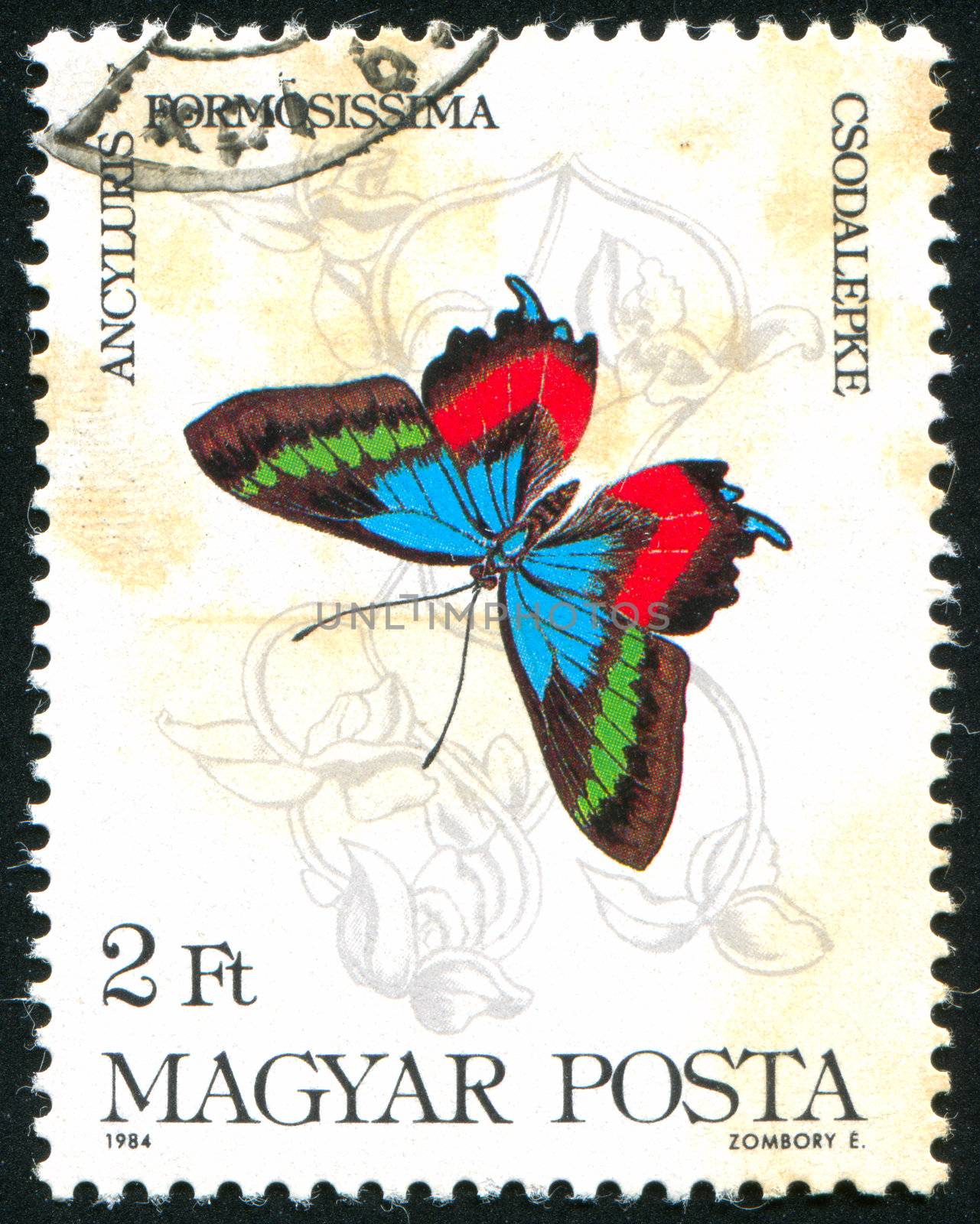 HUNGARY - CIRCA 1984: stamp printed by Hungary, shows butterfly, circa 1984