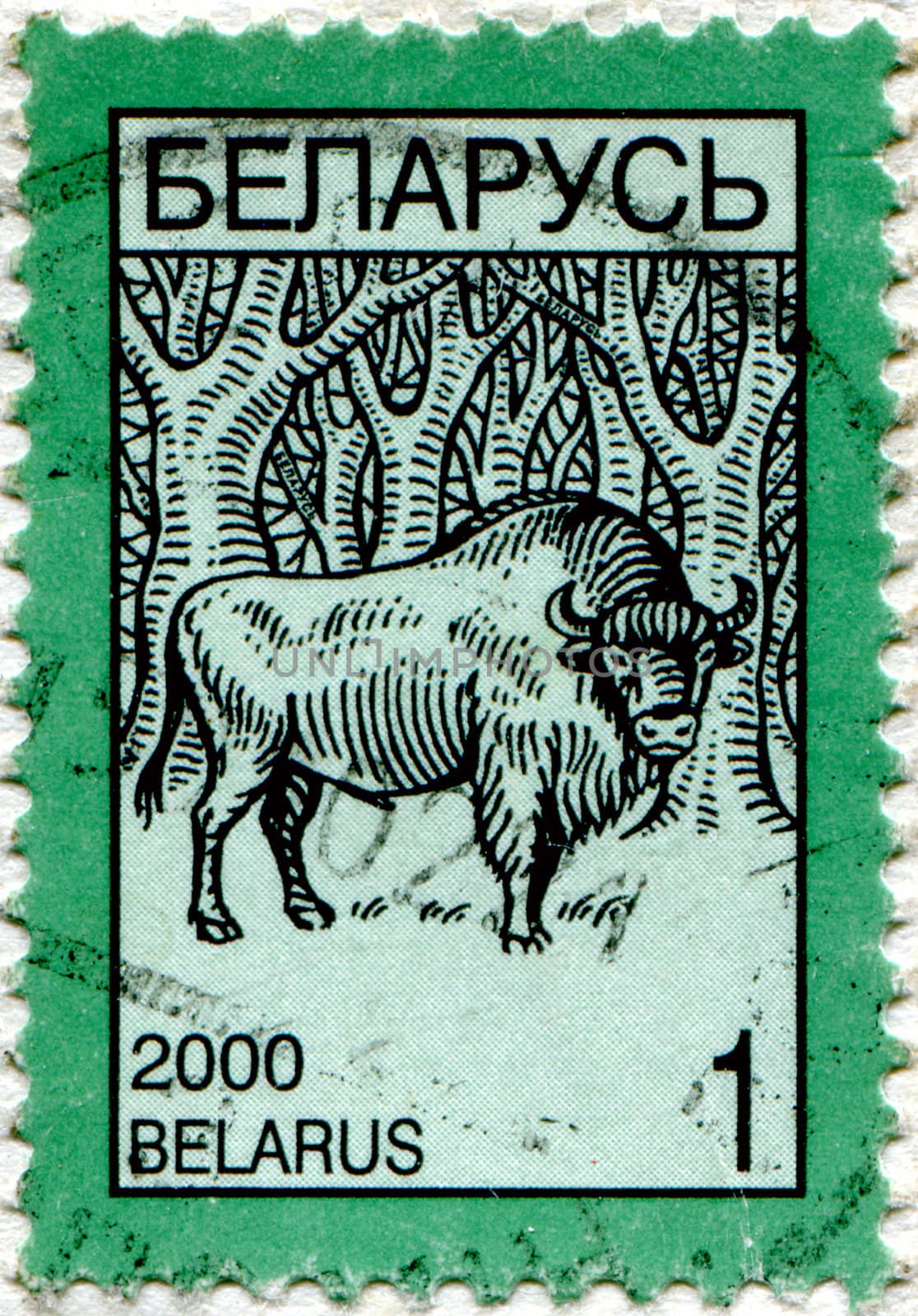 BELARUS - CIRCA 2000: stamp printed by Belarus, shows aurochs, circa 2000.