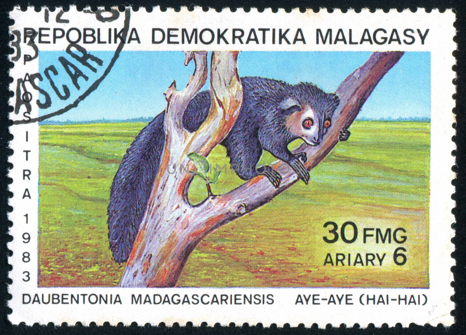 MALAGASY - CIRCA 1983: stamp printed by Malagasy, shows Lemur, circa 1983.