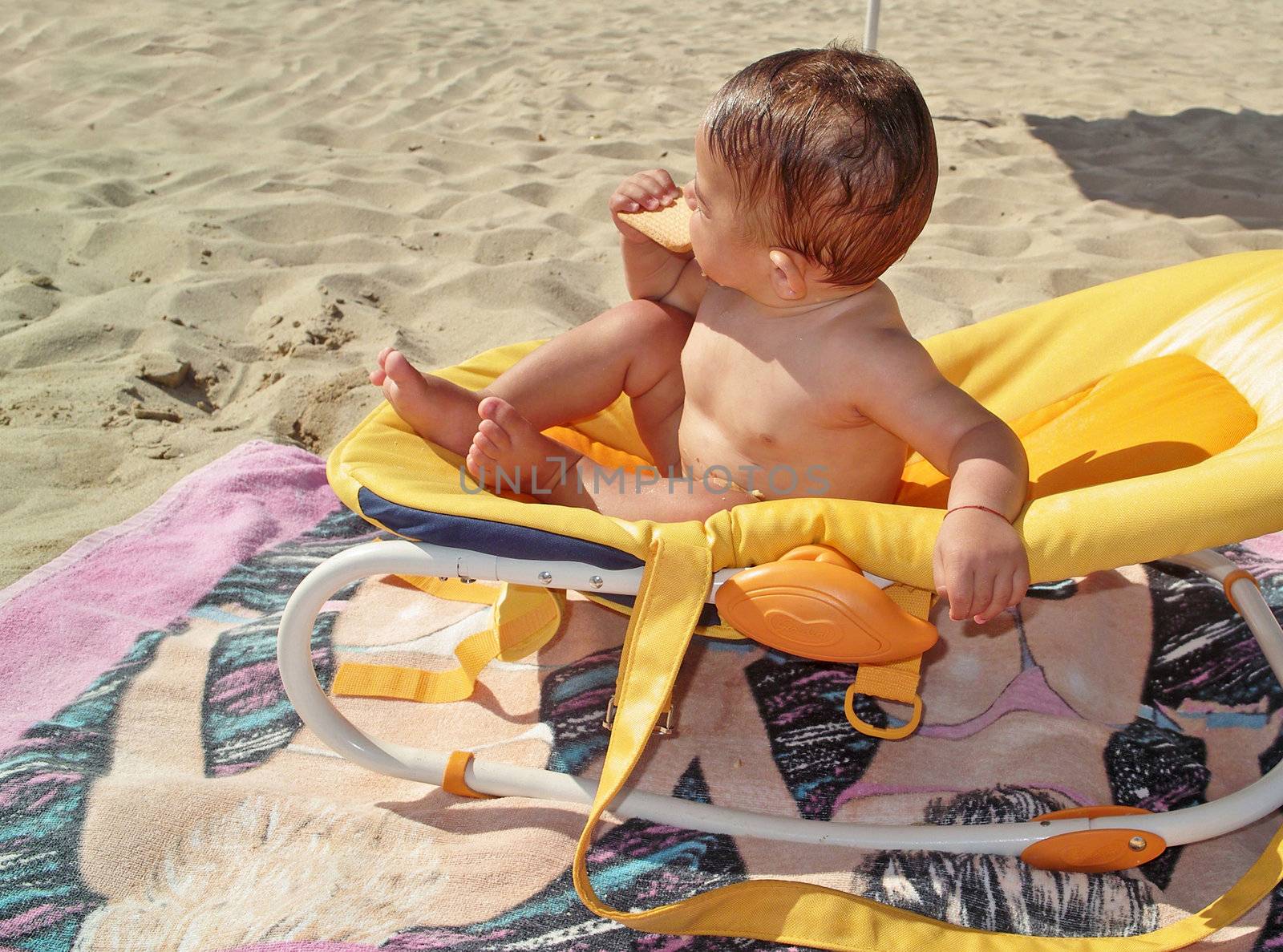 Little boy eating a biscuit