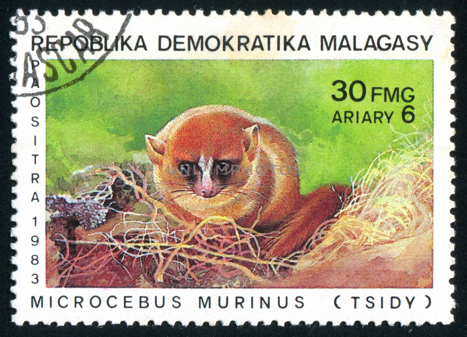 MALAGASY - CIRCA 1983: stamp printed by Malagasy, shows Lemur, circa 1983.