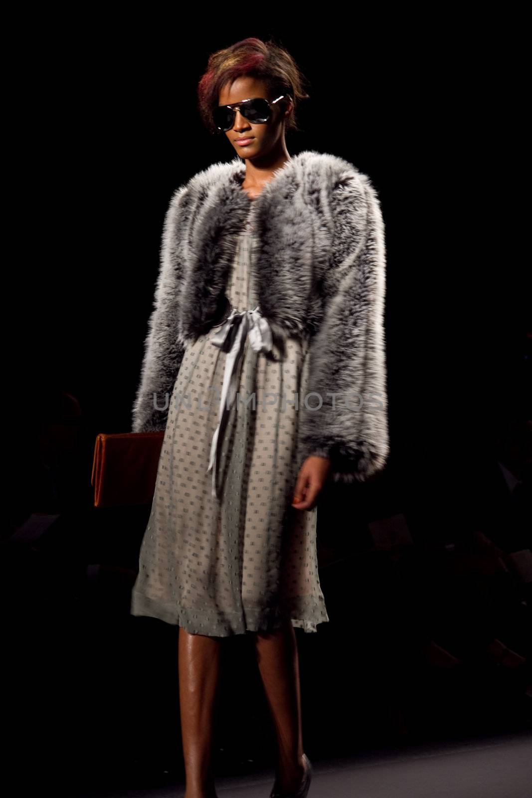 Tracy Reese Runway Model at Fall 2011 Fashion Week at Lincoln Center by photopro