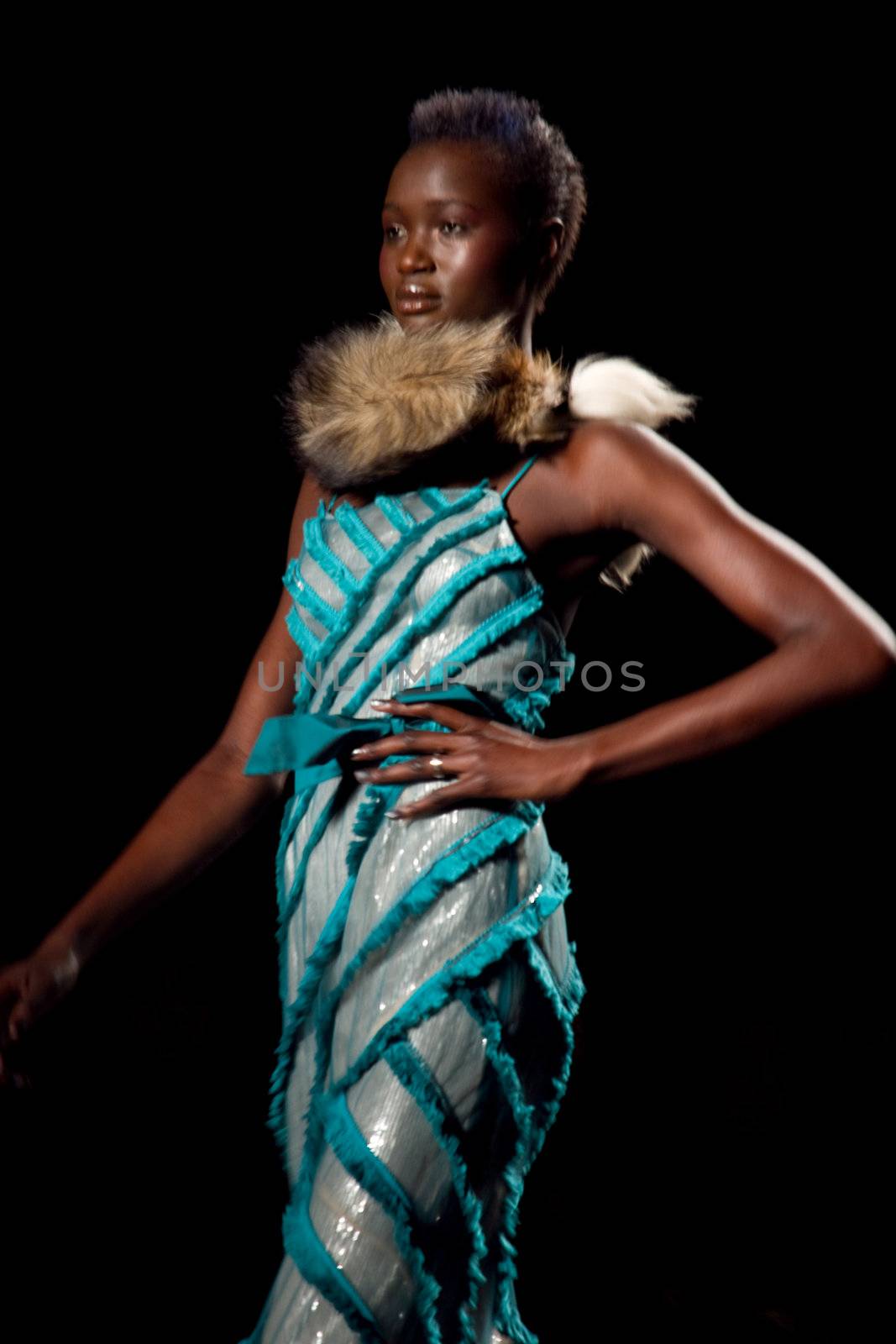 Tracy Reese Runway Model at Fall 2011 Fashion Week at Lincoln Center by photopro