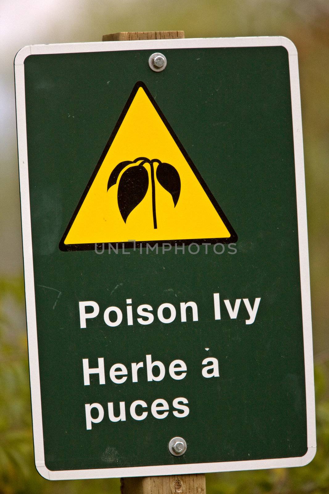 Poison Ivy Sign by pictureguy