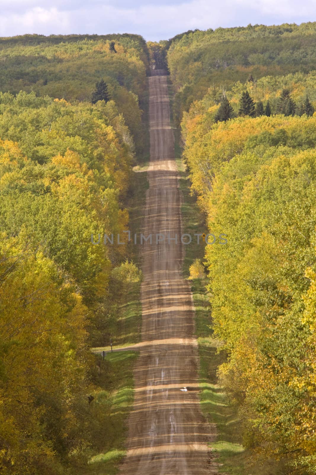 Northern Manitoba road in autumn by pictureguy
